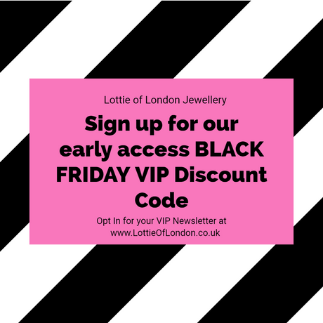 VIP Black Friday Discount