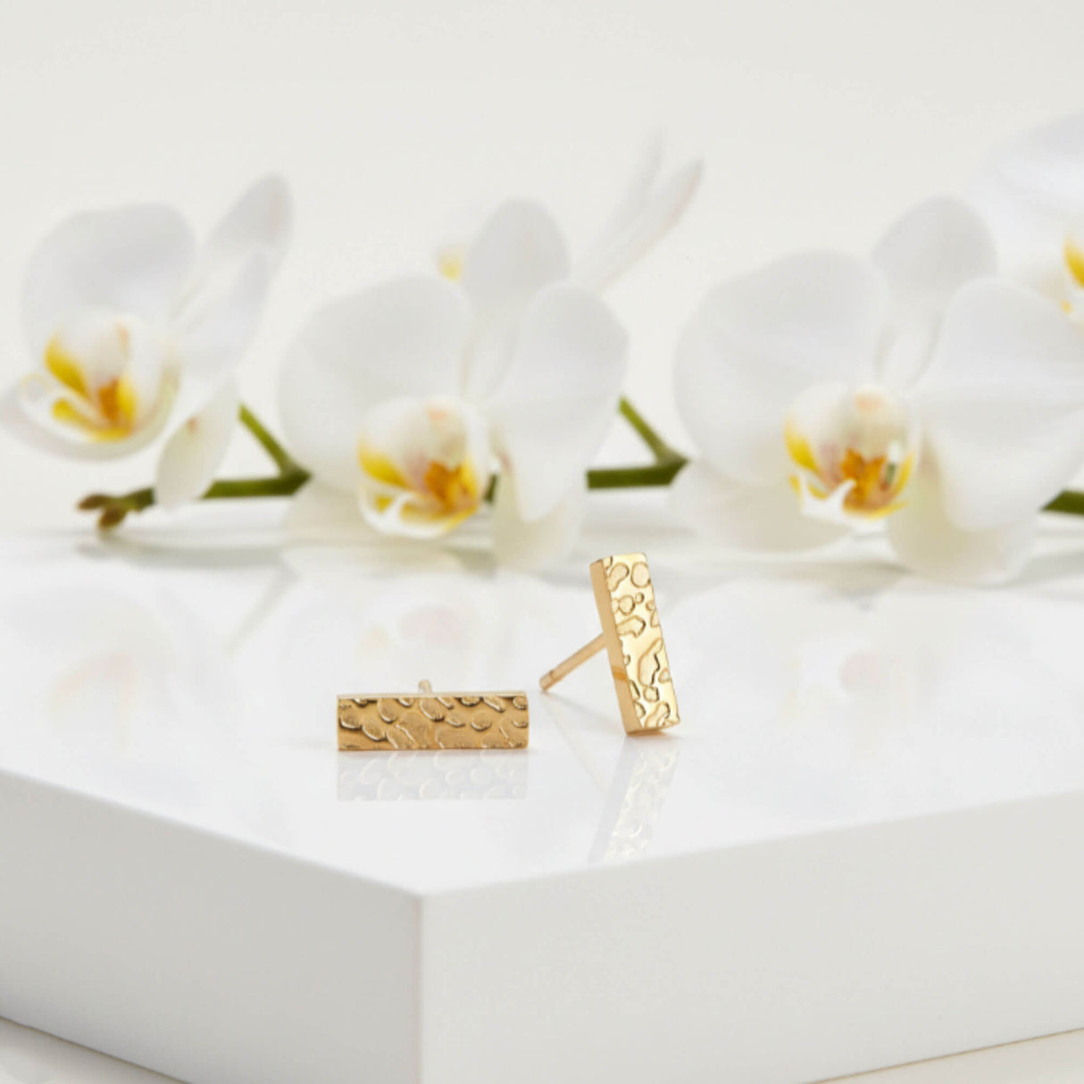 Small Gold bar stud earrings on plinth
